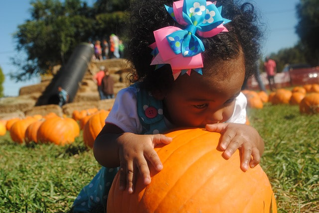 little girl hugging pumpkin