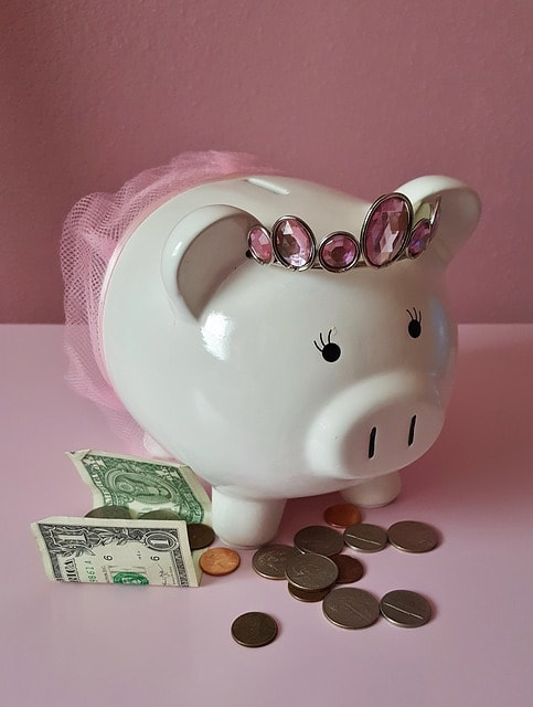 piggy bank with money around it
